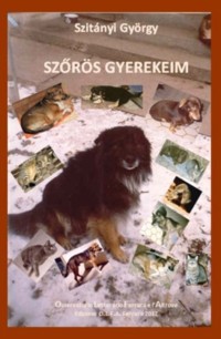 Descrizione: borito_szorosok1b.jpg